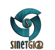 Logo of Sinetgia Servicios S.L.